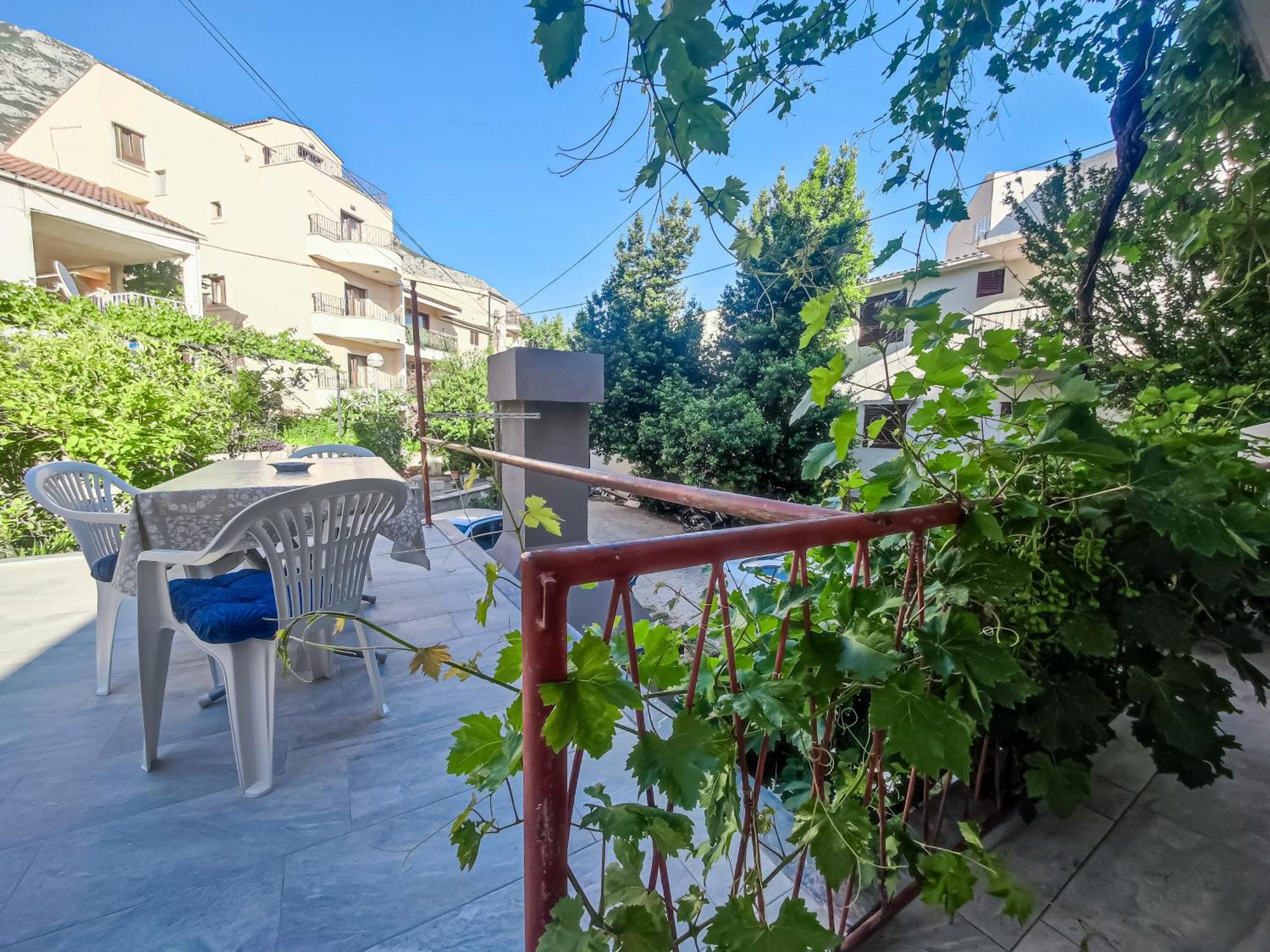 Apartman Biljana 马卡尔斯卡 外观 照片